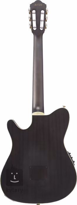 Ibanez TOD10N Transparent Black - Klasszikus elektroakusztikus gitár
