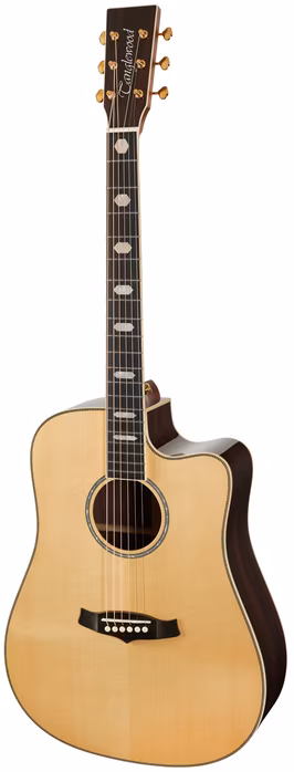 Tanglewood TW1000HSRCE - Elektroakusztikus gitár