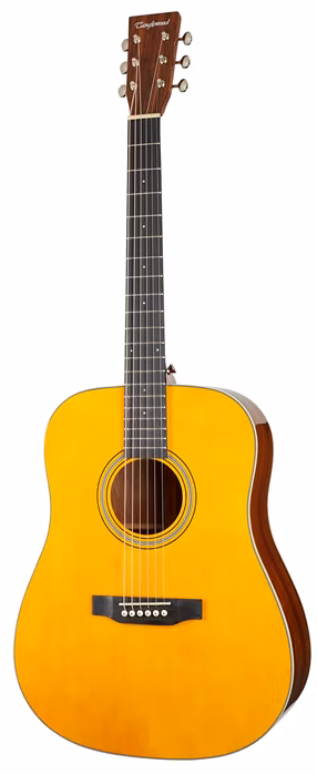 Tanglewood TW40DANE - Elektroakusztikus gitár