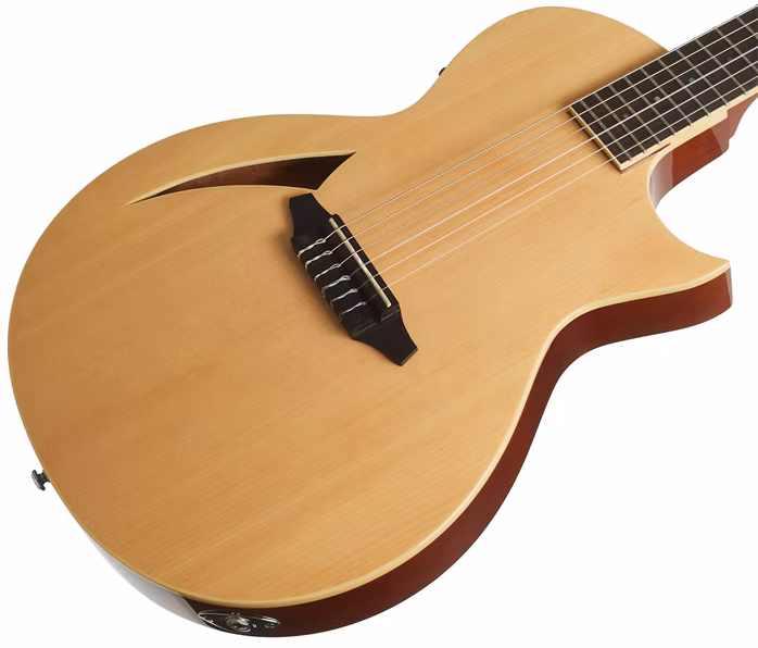 ESP LTD TL-6 N NAT - Klasszikus elektroakusztikus gitár