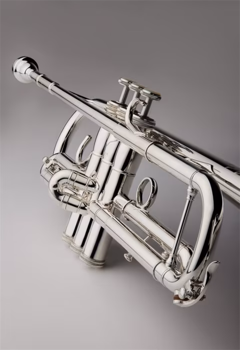 S.E.Shires TRQ10RS - Trombita