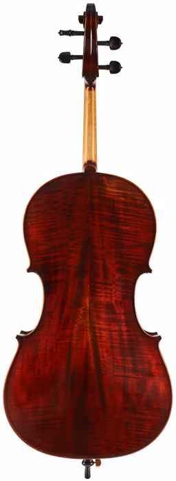 Eastman Amsterdam Atelier 1 Series 4/4 Cello - Cselló
