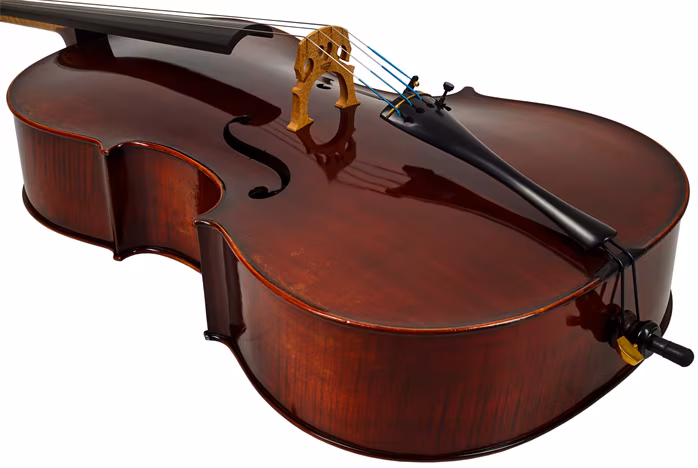 Eastman Amsterdam Atelier 1 Series 4/4 Cello - Cselló