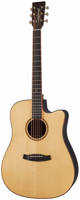 Tanglewood TJ5CE - Elektroakusztikus gitár