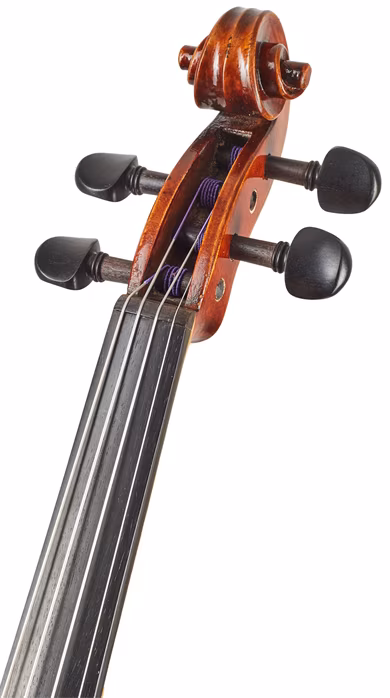 Eastman Rudoulf Doetsch Violin 4/4 (VL701G ) - Akusztikus hegedű