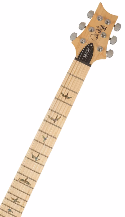 PRS SE Swamp Ash Special Iridescent Blue - Elektromos gitár