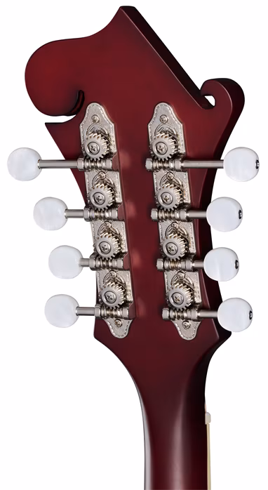 Epiphone F-5 Studio Wine Red Satin - Akusztikus mandolin