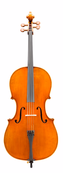 Eastman Amsterdam Atelier 3 Series 4/4 Cello - Cselló