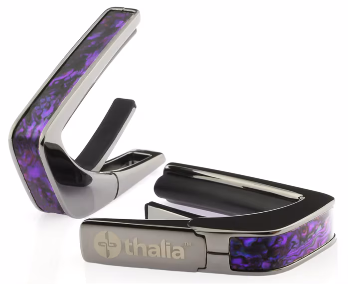 Thalia Shell Collection Purple Paua Black Chrome - Kapodaszter