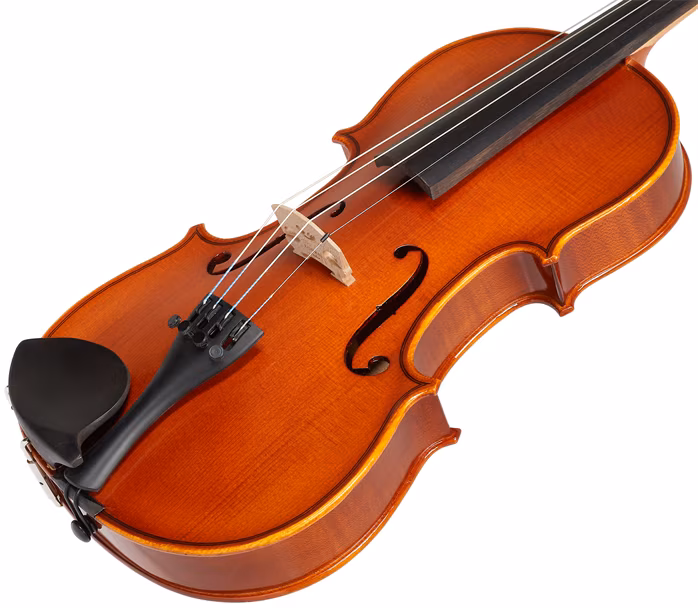 Eastman Samuel Eastman Violin 4/4 (VL50SBC ) (Újszerű) - Akusztikus hegedű