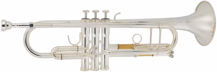 Arnolds & Sons ATR-5200GS Terra - Trombita