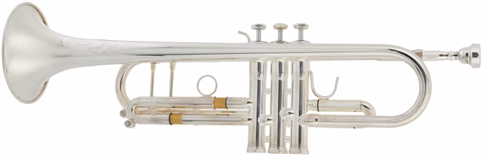 Arnolds & Sons ATR-5200GS Terra - Trombita