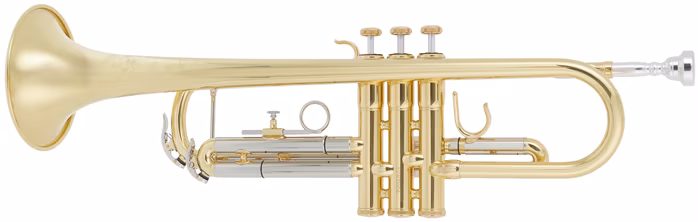 S.E.Shires STRA100 - Trombita