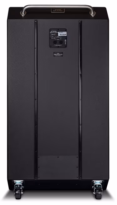 Ampeg Heritage SVT-810AV - Basszusgitár hangláda