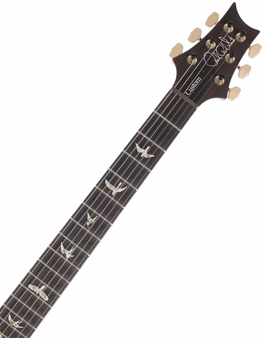 PRS Custom 24 Aurora Borealis - Elektromos gitár