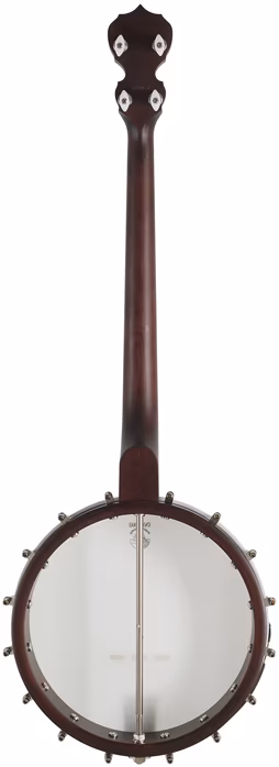 Deering Artisan Goodtime 19-Fret Tenor - Tenor bendzso