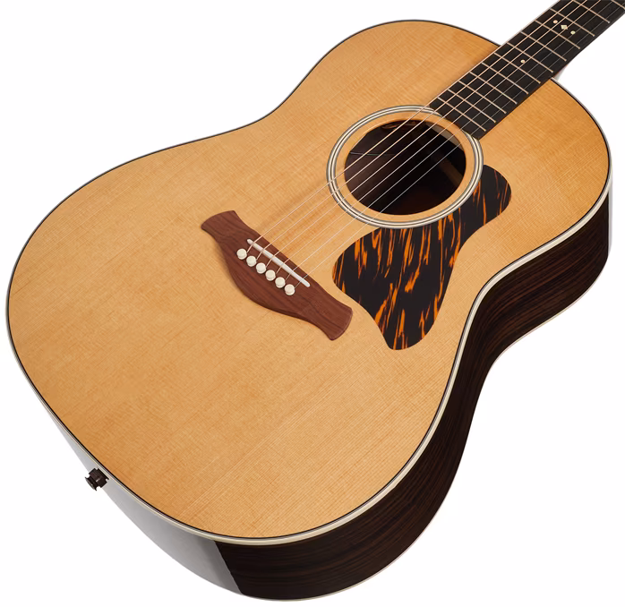 Taylor Gold Label 717e - Elektroakusztikus gitár