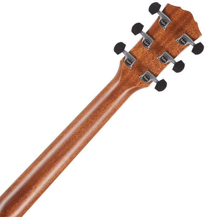 Taylor Gold Label 817e - Elektroakusztikus gitár