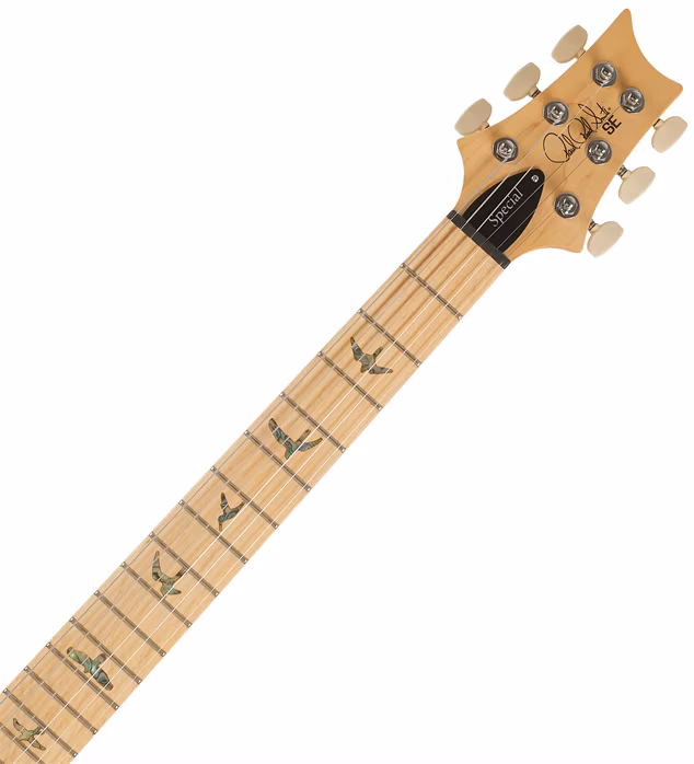 PRS SE Swamp Ash Special Iri Blue 2026 - Elektromos gitár