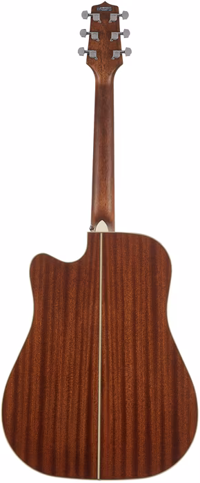 Takamine GD20CE-NS - Elektroakusztikus gitár