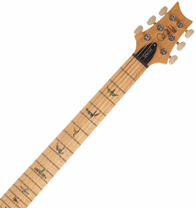 PRS SE Swamp Ash Special Charcoal 2026 - Elektromos gitár