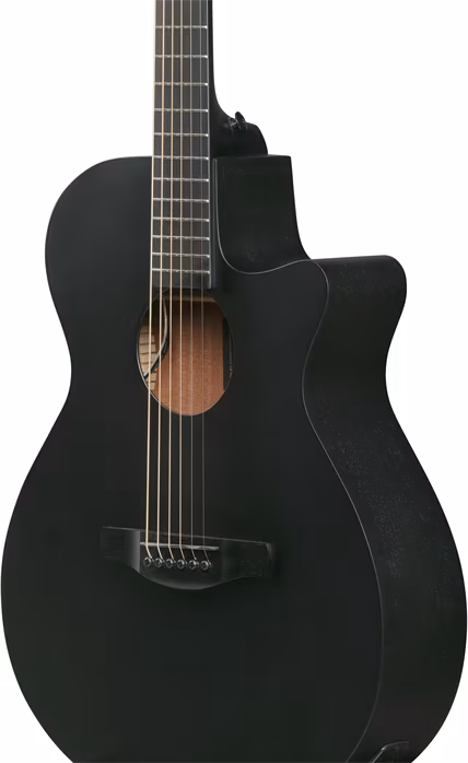 Ibanez AEG1221-BOT - 12 húros elektroakusztikus gitár