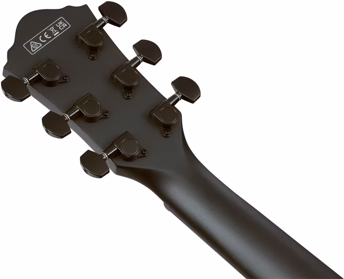 Ibanez AEG1221-BOT - 12 húros elektroakusztikus gitár