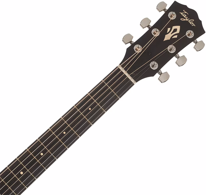 Taylor Gold Label 710e - Elektroakusztikus gitár