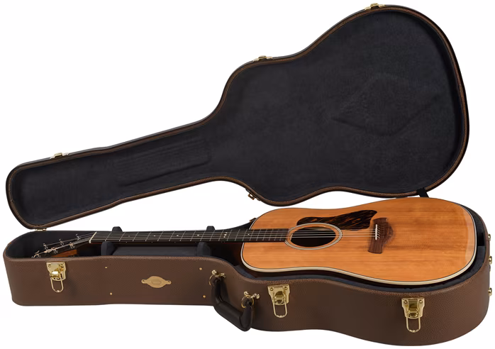 Taylor Gold Label 710e - Elektroakusztikus gitár