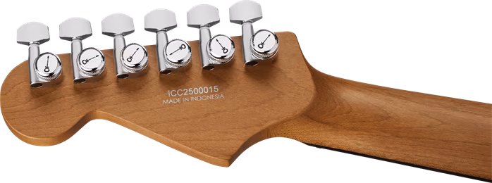 Charvel Pro-Mod Plus DK24 HH 2PT EB EBY CLSTL SLK - Elektromos gitár