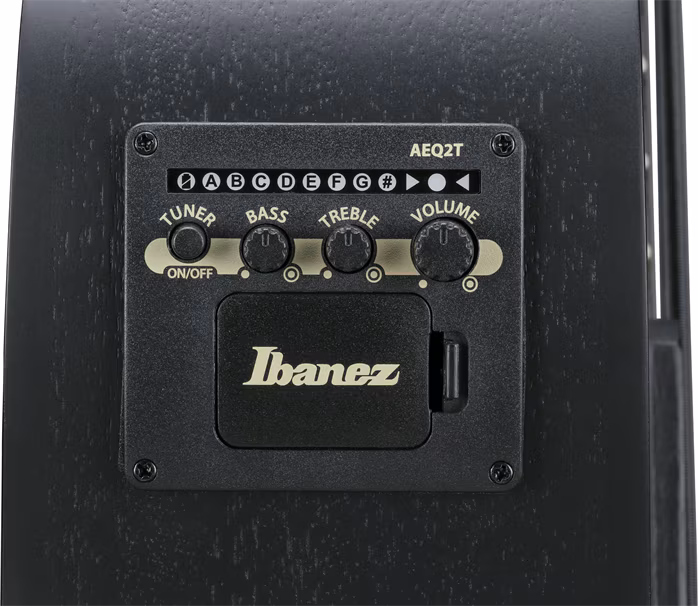 Ibanez AEGB420 BOT - Elektroakusztikus basszusgitár
