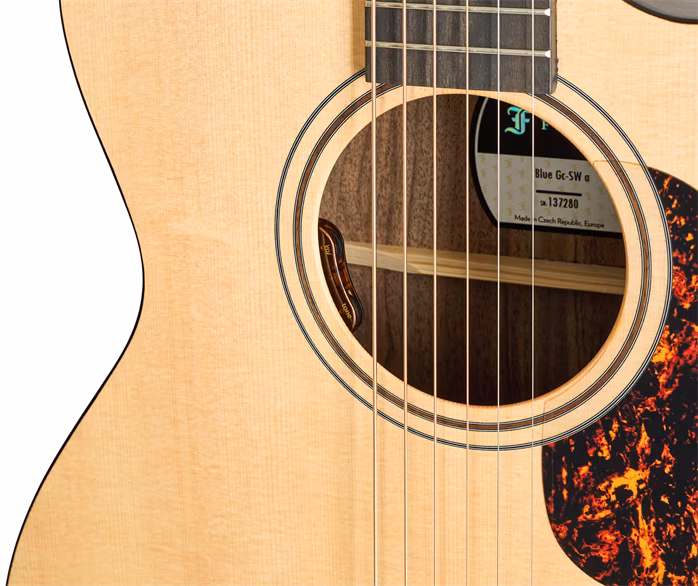 Furch Blue Gc-SW L.R. Baggs EAS-VTC CNR Active - Elektroakusztikus gitár