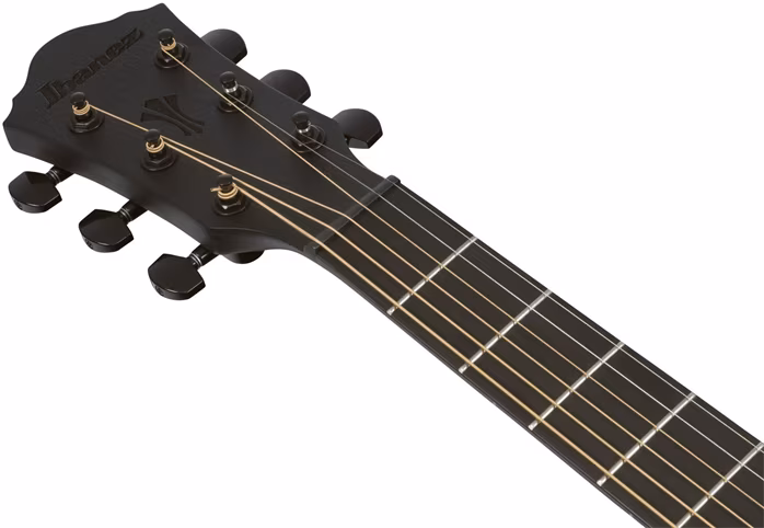 Ibanez AEG621-BOT - Elektroakusztikus gitár