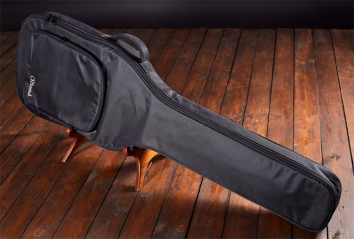 AV Basses AVS5 Fretless - Elektromos basszusgitár