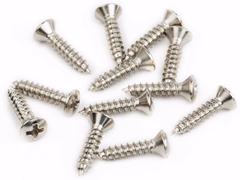 Fender Vintage Bridge Cover Screws - Sprzęt gitarowy