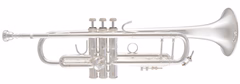 Bach ML180S-37 with Double Gig Bag - Trąbka