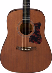 Ibanez V54NJP Natural