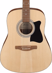 Ibanez V50NJP Natural