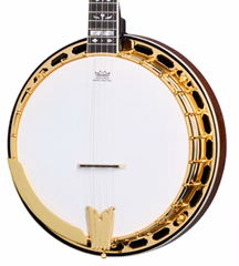 Epiphone Earl Scruggs Golden Deluxe Banjo - Banjo