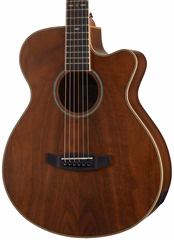 Tanglewood TRU4CE AW - Gitara elektroakustyczna
