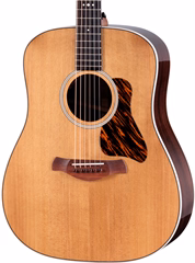 Taylor Gold Label 710e - Gitara elektroakustyczna