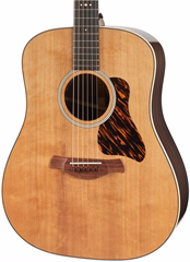 Taylor Gold Label 710e - Gitara elektroakustyczna