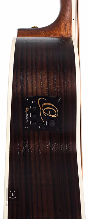 Ortega D558-4 - Elektroakustyczna gitara basowa