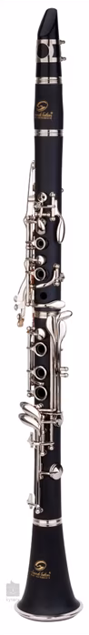 Soundsation SCL-10E - Klarnet