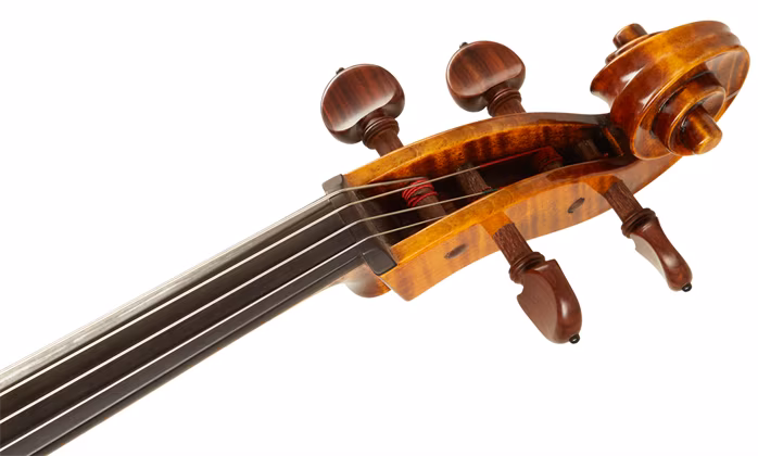 Maestro Instrument Petr Rácz Violoncello anno 2015 - Wiolonczela