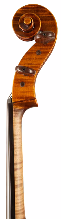 Maestro Instrument Petr Rácz Violoncello anno 2015 - Wiolonczela