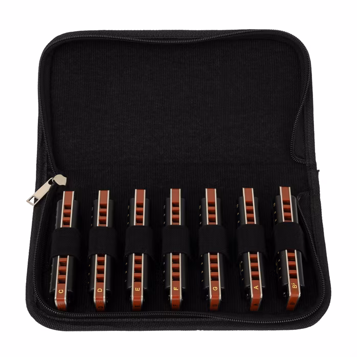 Cascha Professional Blues Set - Zestaw harmonijek ustnych