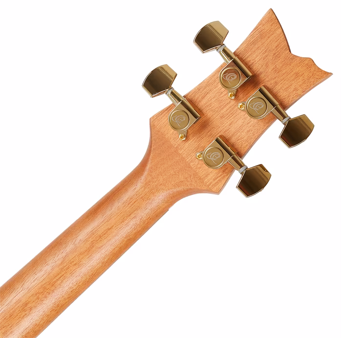 Ortega LIZARD-TE-GB - Ukulele elektroakustyczne