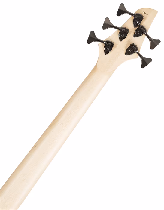 Dingwall Combustion 5 MN Whalepool Burst - Elektryczna gitara basowa