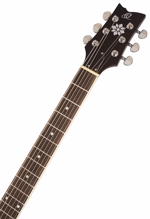 Ortega OBJ350/6-SBK - Banjo